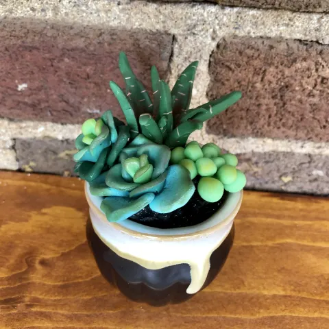 A succulent garden in a pot made out of clay.