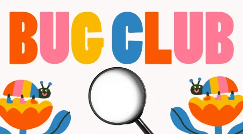 Bug