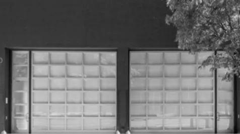 building windows in front of black sky with tall tree