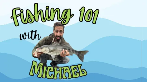 Man holding a fish on blue background.