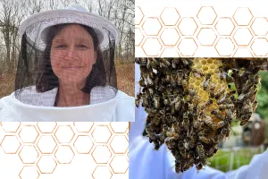 Beekeeper with a netted hat and close up of bees on honeycomb.