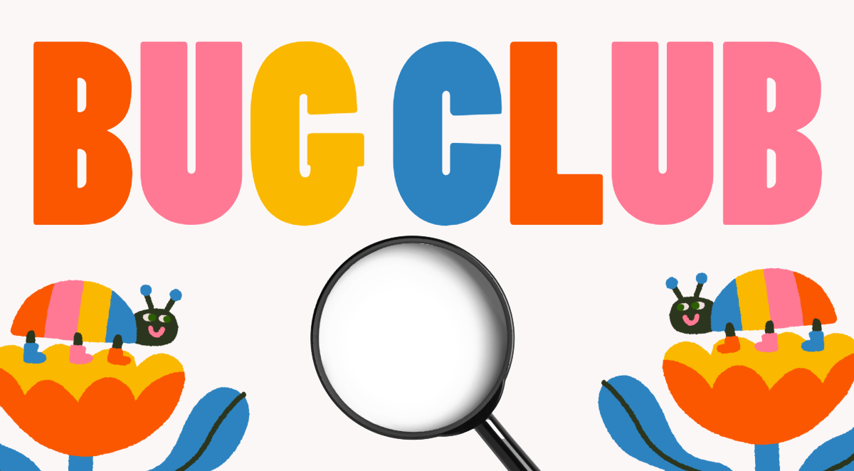 Bug