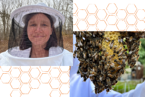 Beekeeper with a netted hat and close up of bees on honeycomb.